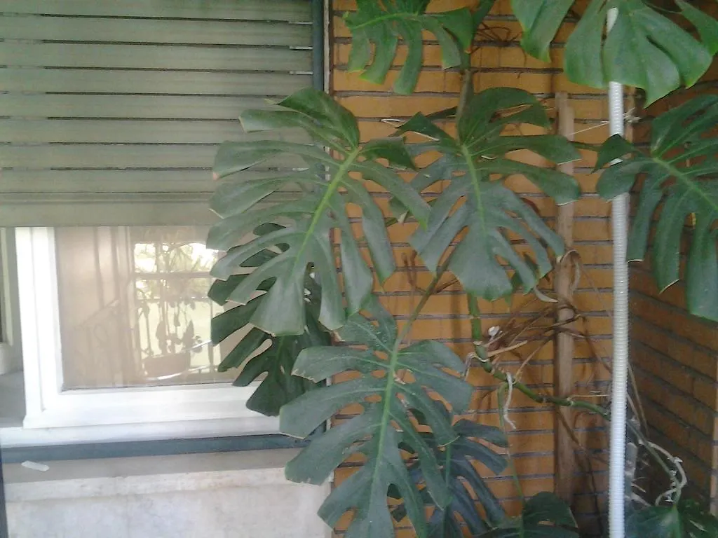 Olimpica Relais Guest House