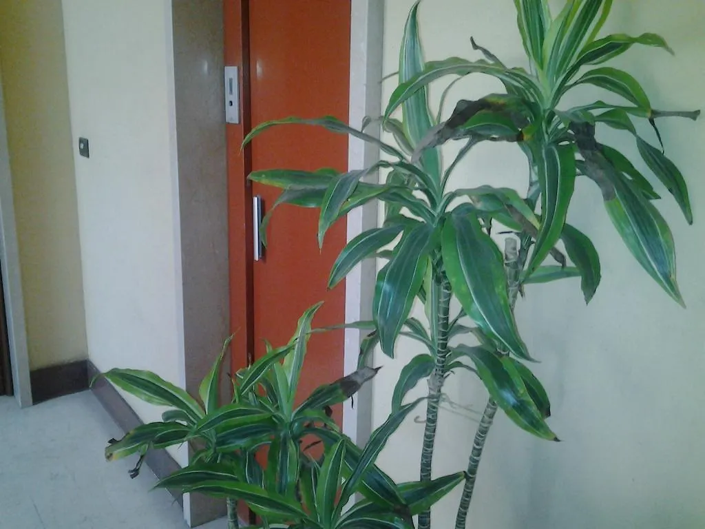Olimpica Relais Guest House  Rome